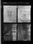 Springs park (4 Negatives), March 25-26, 1958 [Sleeve 62, Folder c, Box 14]